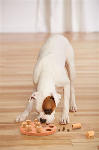 Nina ottosson Dog smart composiet