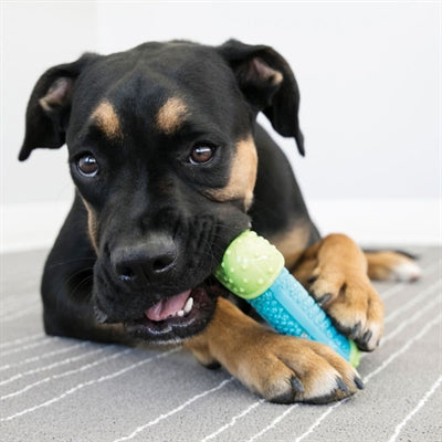 Kong Corestrength bone
