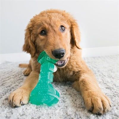 Kong Squeezz dental stick mintgroen