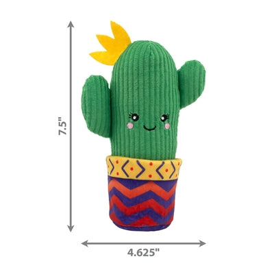 Kong Wrangler cactus