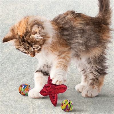 Kong Cat active jacks stuiterbal multipack met catnip rood
