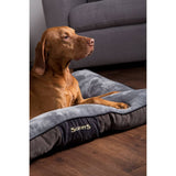 Scruffs Tramps Scruffs Tramps Huisdierenkussen Chester grijs maat M 1160