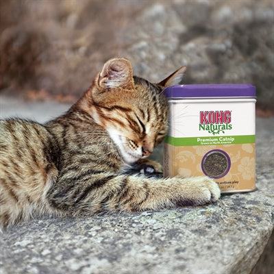 Kong Kat catnip navulling