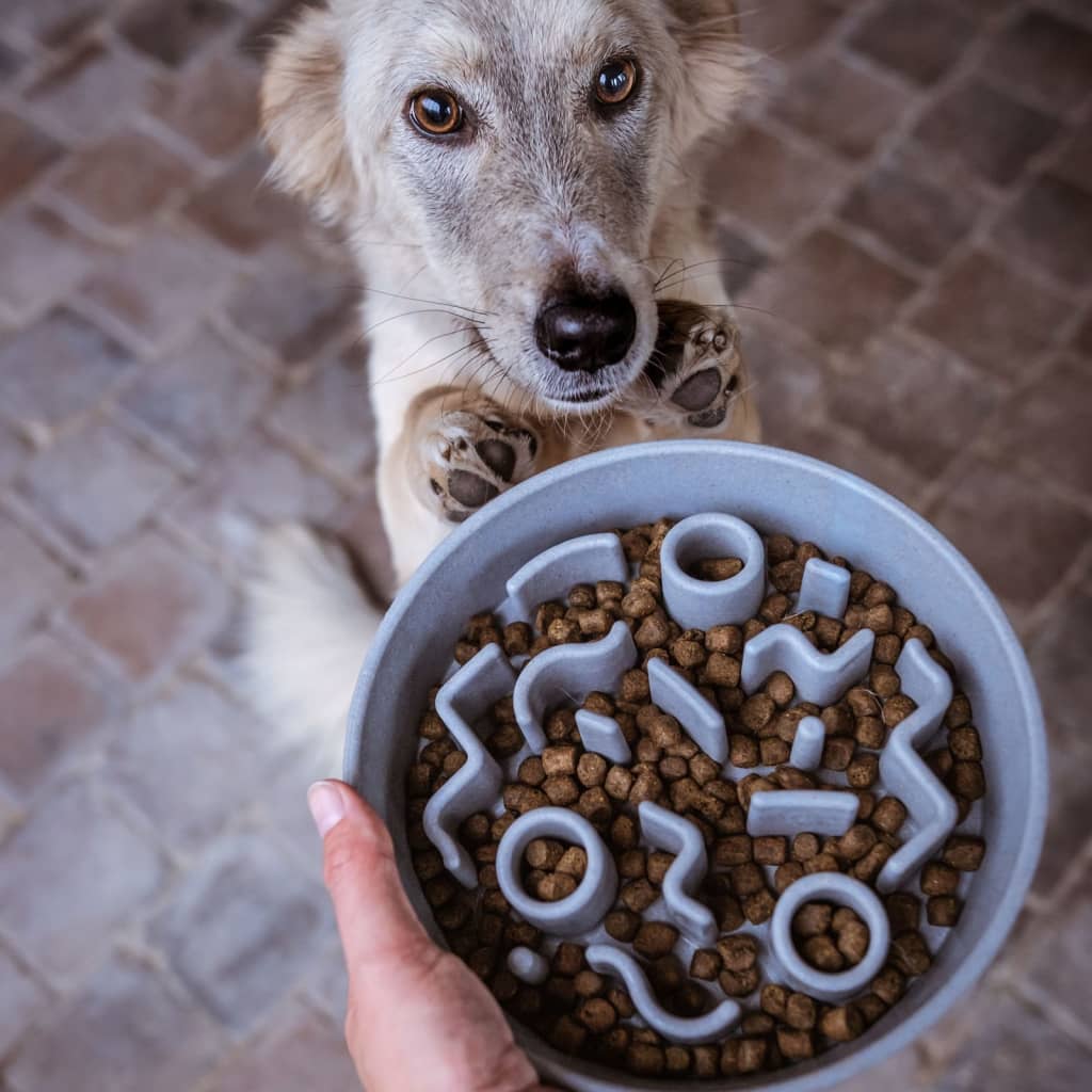 DISTRICT70 DISTRICT70 Slowfeeder voor honden 28 cm bamboe ijsblauw