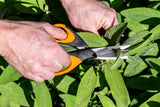 Masterclass Kruidenschaar 15 cm RVS rubber zwart oranje