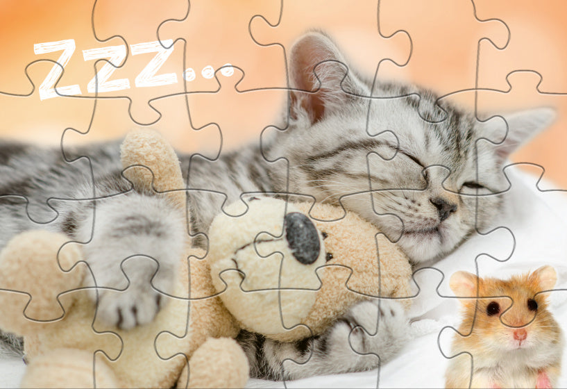 Rebo Productions Babydieren legpuzzel junior 24 24 stukjes