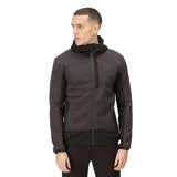 Regatta Bresdon softshelljas heren zwart grijs maat XL