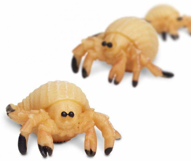 Safari Heremietkreeften speelset 2,5 cm 192-delig