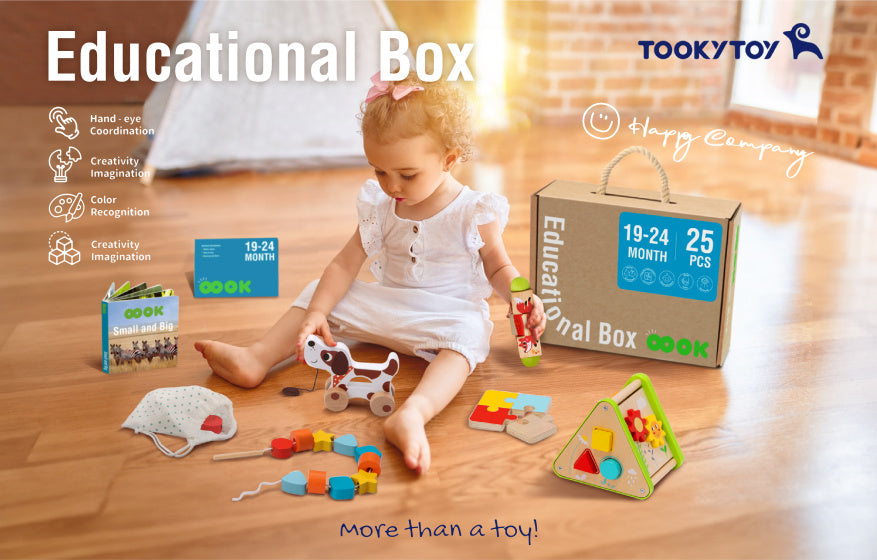 Tooky toy Educatieve Houten Speelgoed Box 19-24 maanden 25-delig