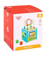 Tooky toy Houten Activiteitenkubus 18 maanden 6-delig